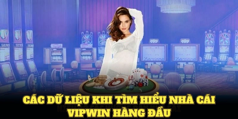 Các dữ liệu khi tìm hiểu nhà cái Vipwin hàng đầu