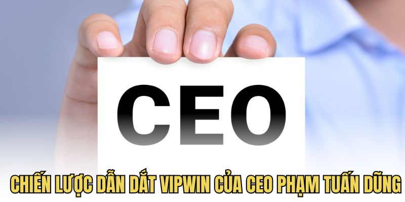 Chiến lược dẫn dắt quan trọng của CEO tại Vipwin