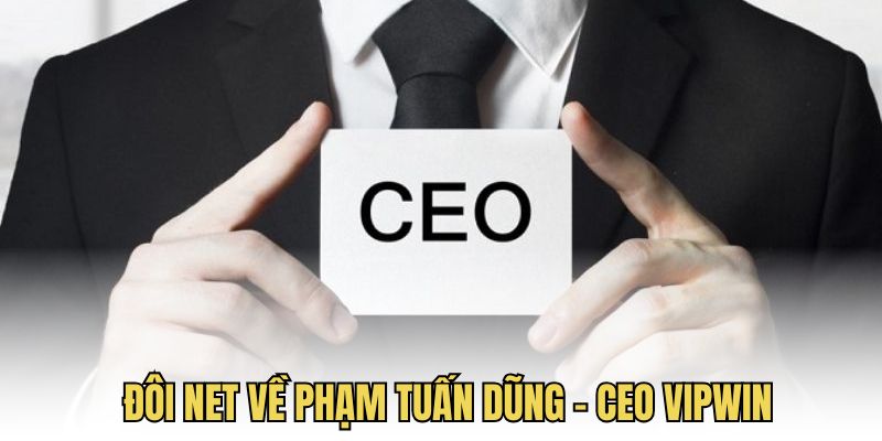 Tổng quan về CEO Vipwin